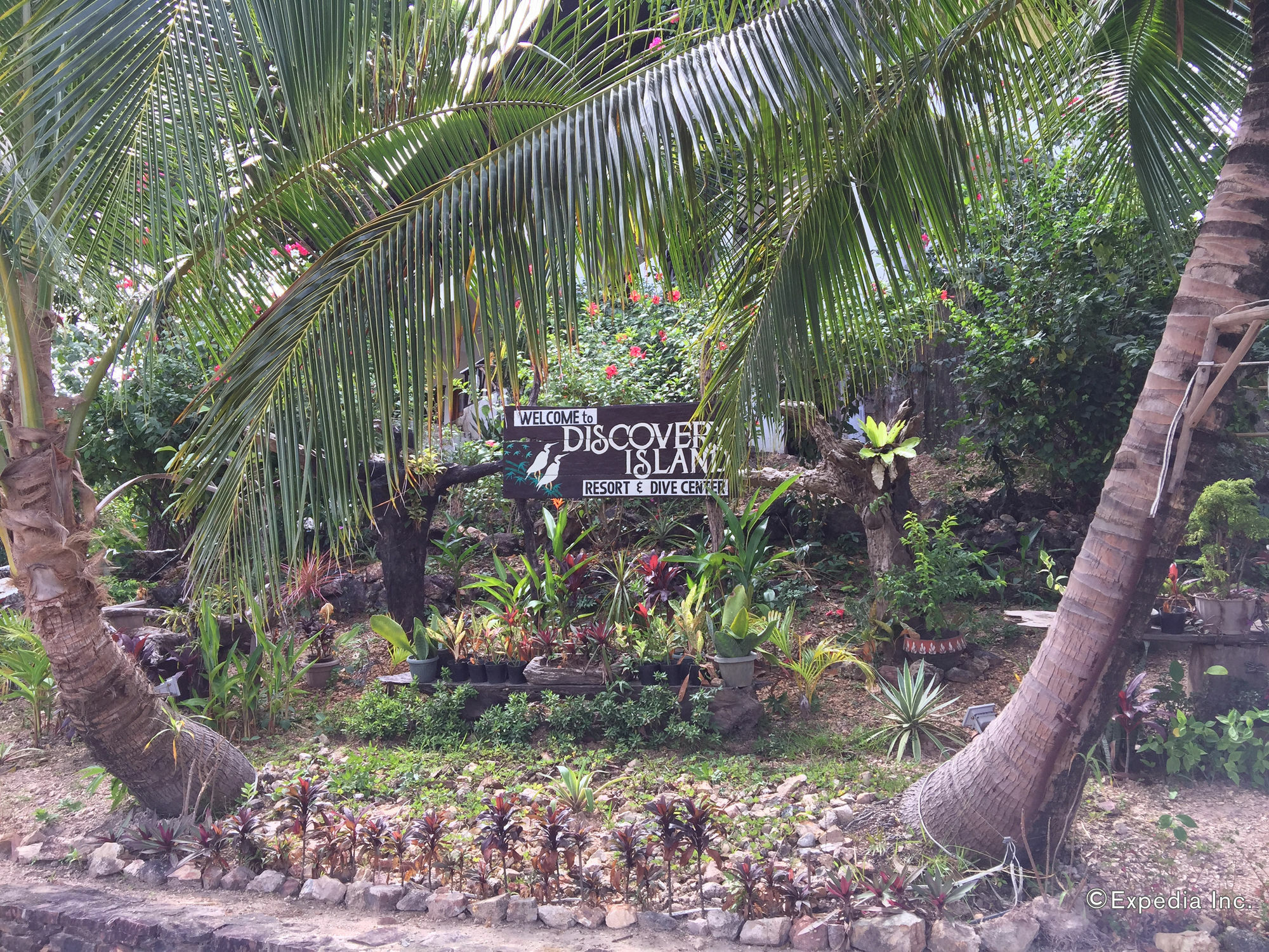 Discovery Island Resort Coron